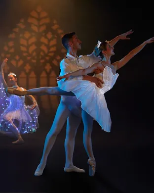 Ballet of Lights Glendale