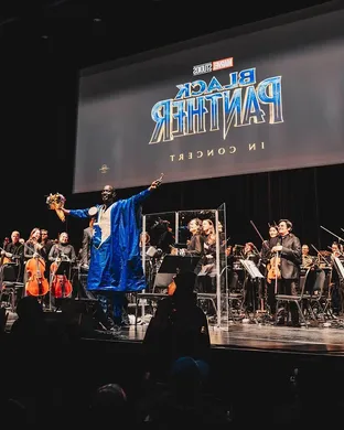 Black Panther in Concert