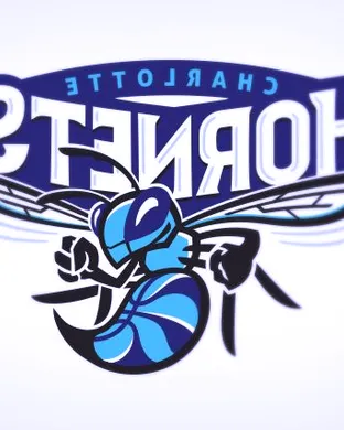 Charlotte Hornets Charlotte