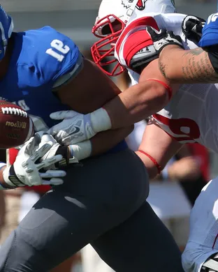 Drake Bulldogs Des Moines