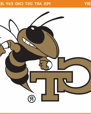 Georgia Tech Yellow Jackets Atlanta