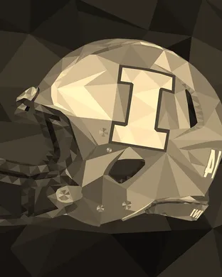 Illinois Fighting Illini Football Pasadena
