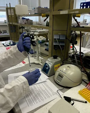 Lab Work! Los Angeles