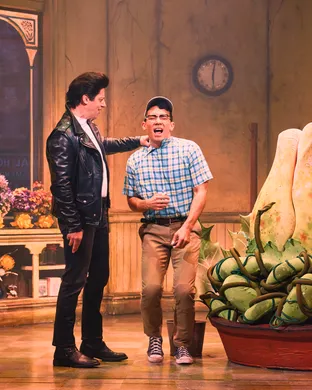 Little Shop Of Horrors La Mirada
