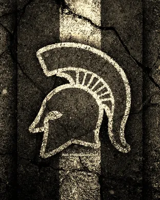 Michigan State Spartans Pasadena