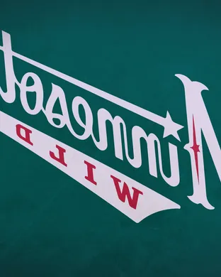 Minnesota Wild Saint Paul