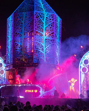 Nocturnal Wonderland - 2 Day Pass