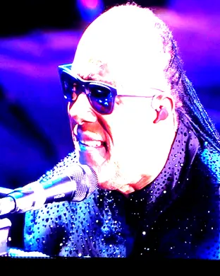 Stevie Wonder