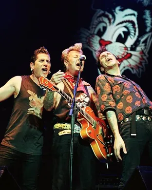Stray Cats Highland