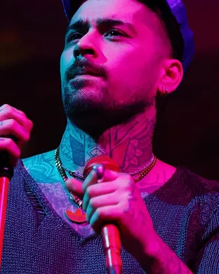 Zayn Anaheim